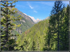 foto Da Campitello di Fassa al Col Rodella